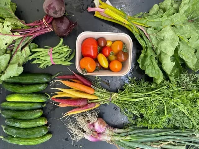 FRESHBOX