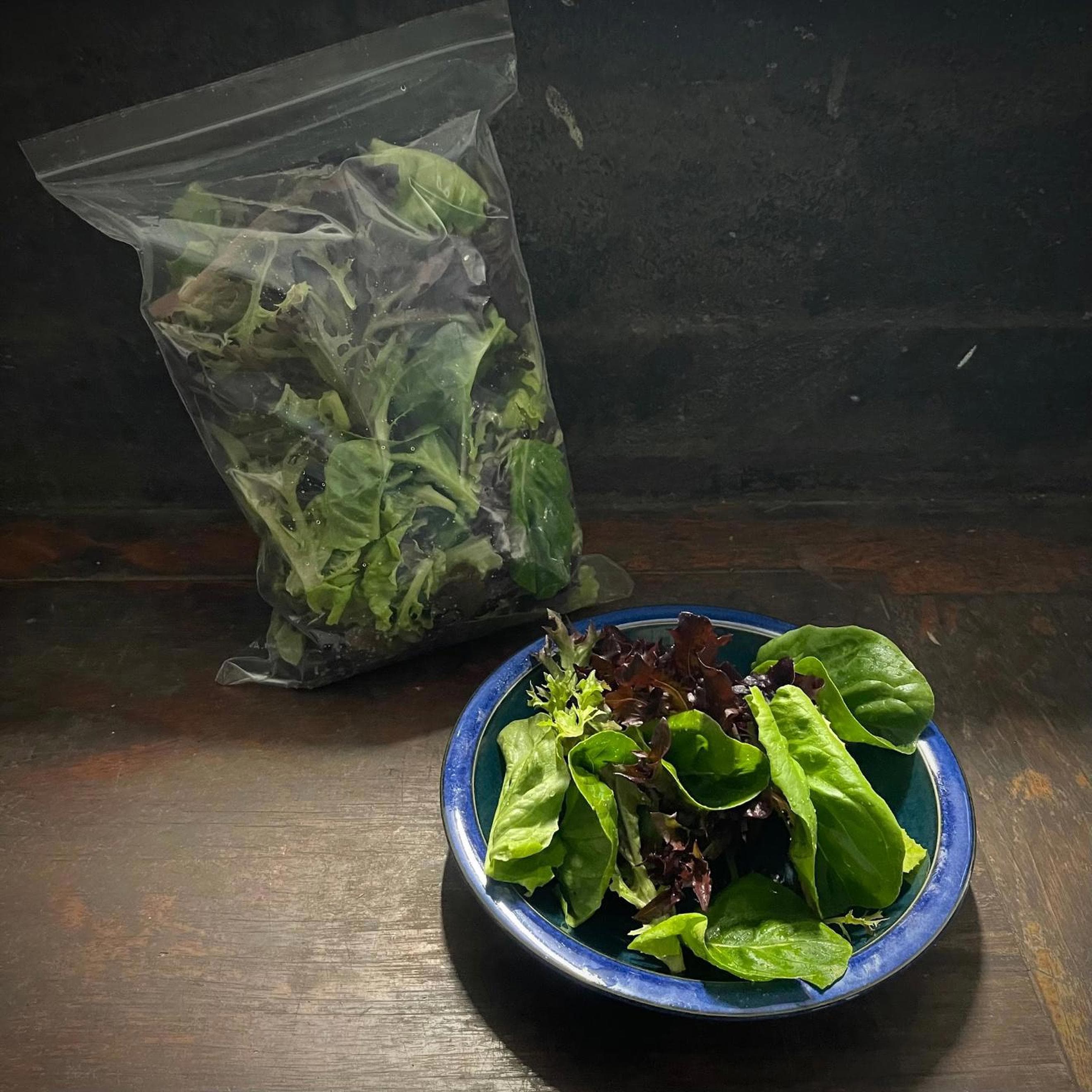 Salad