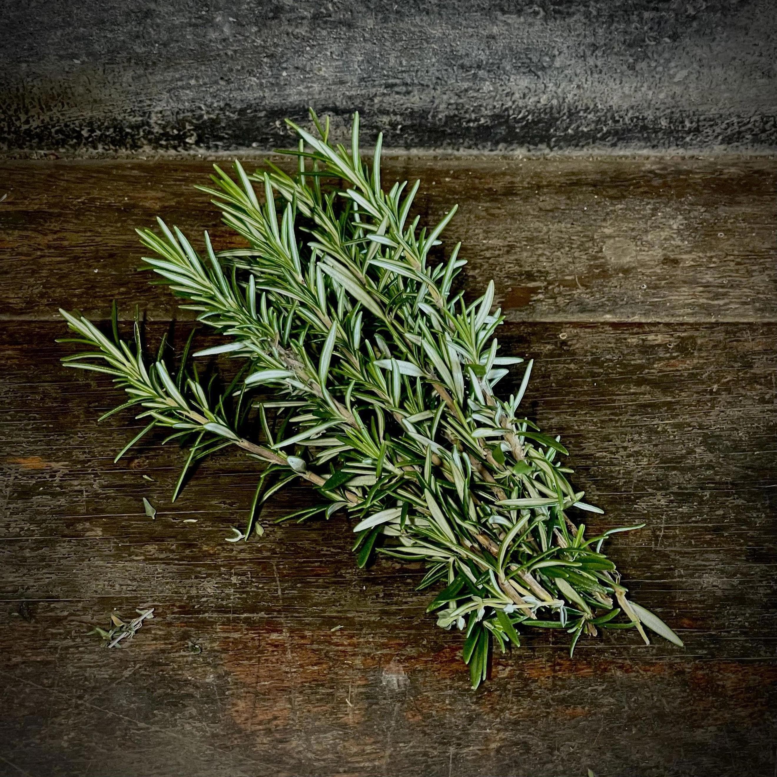 Rosemary