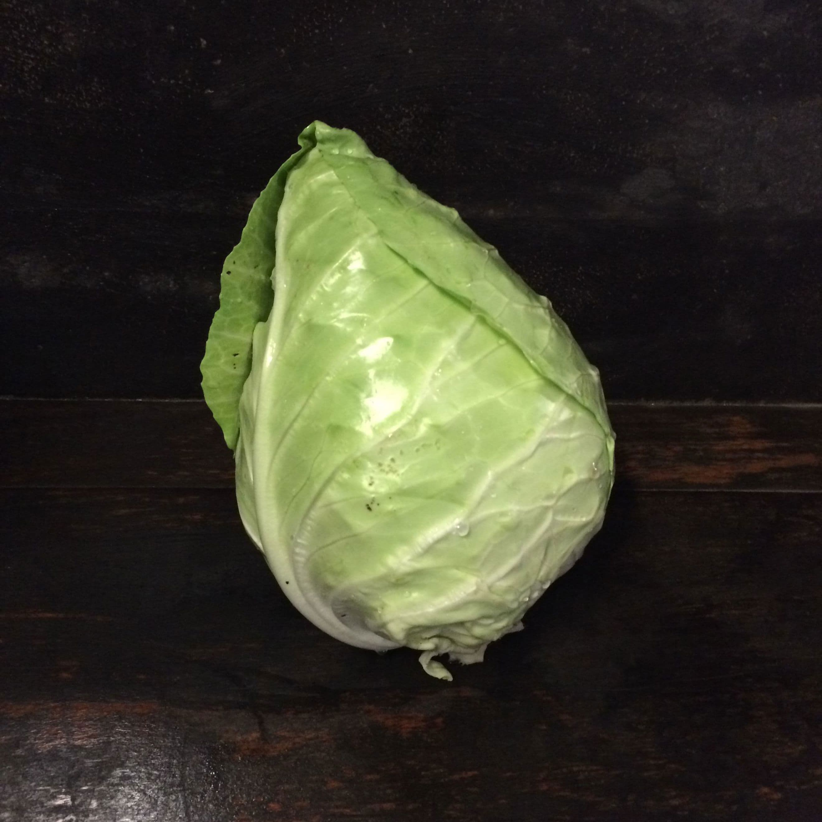 Sugarloaf Cabbage