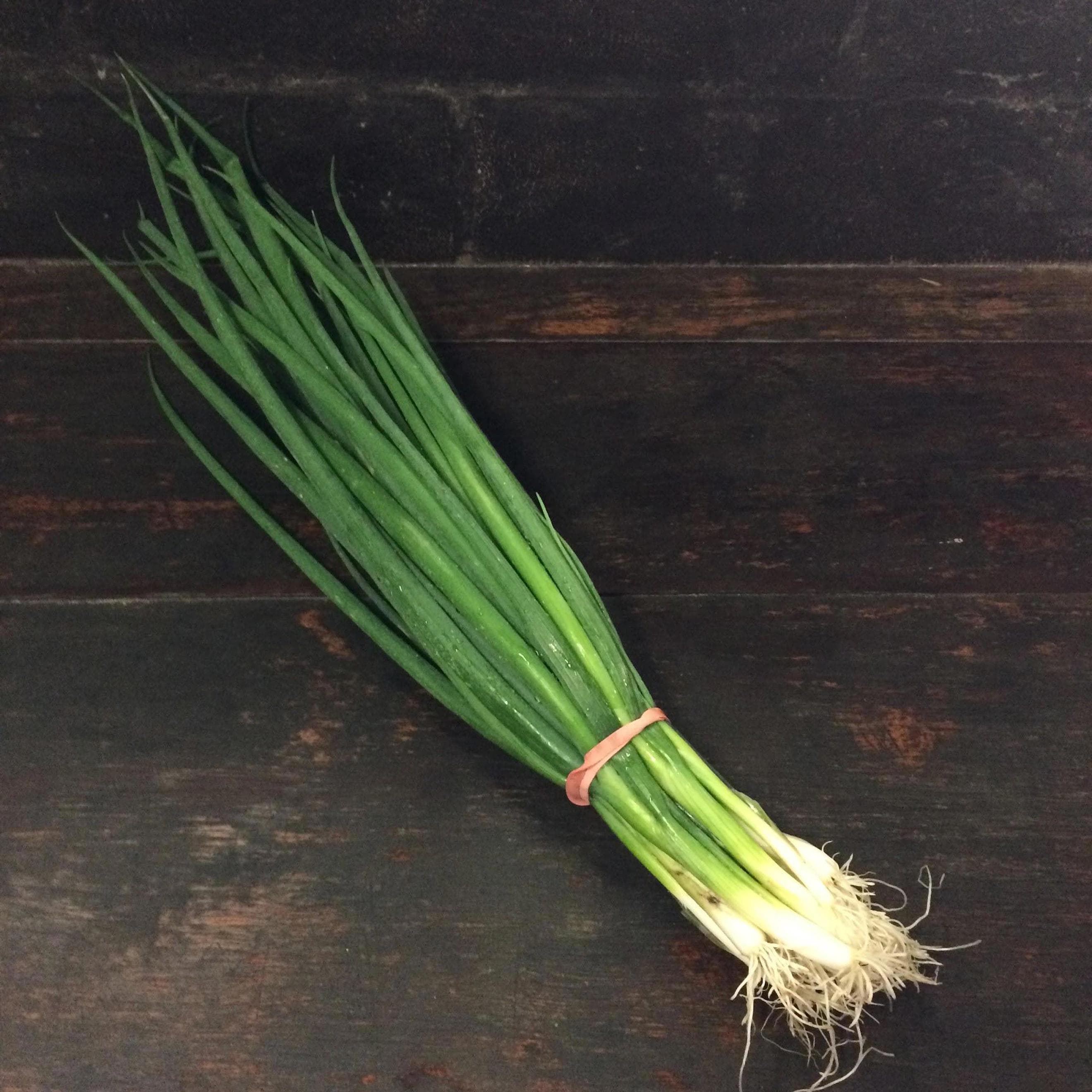Spring Onions