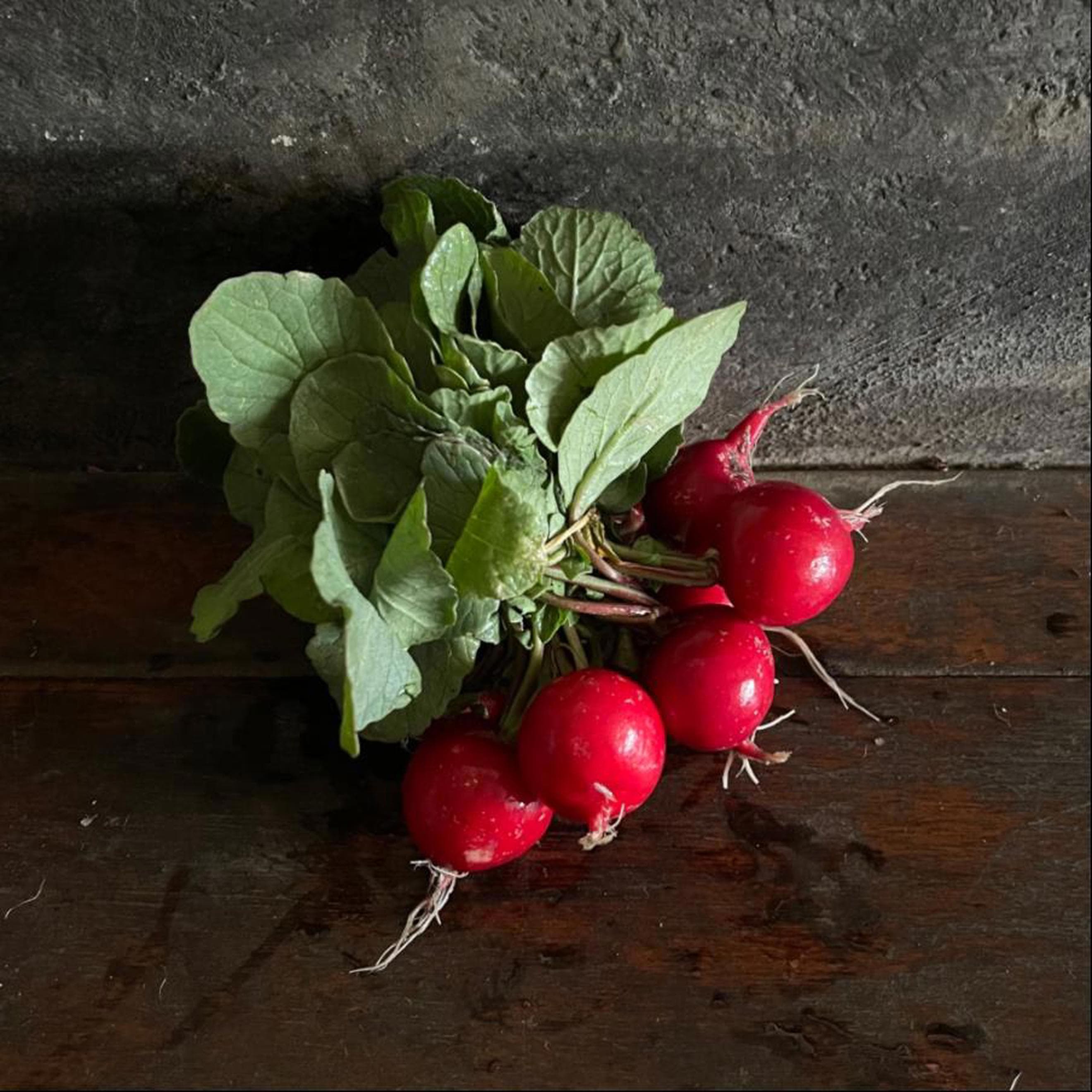 Radish