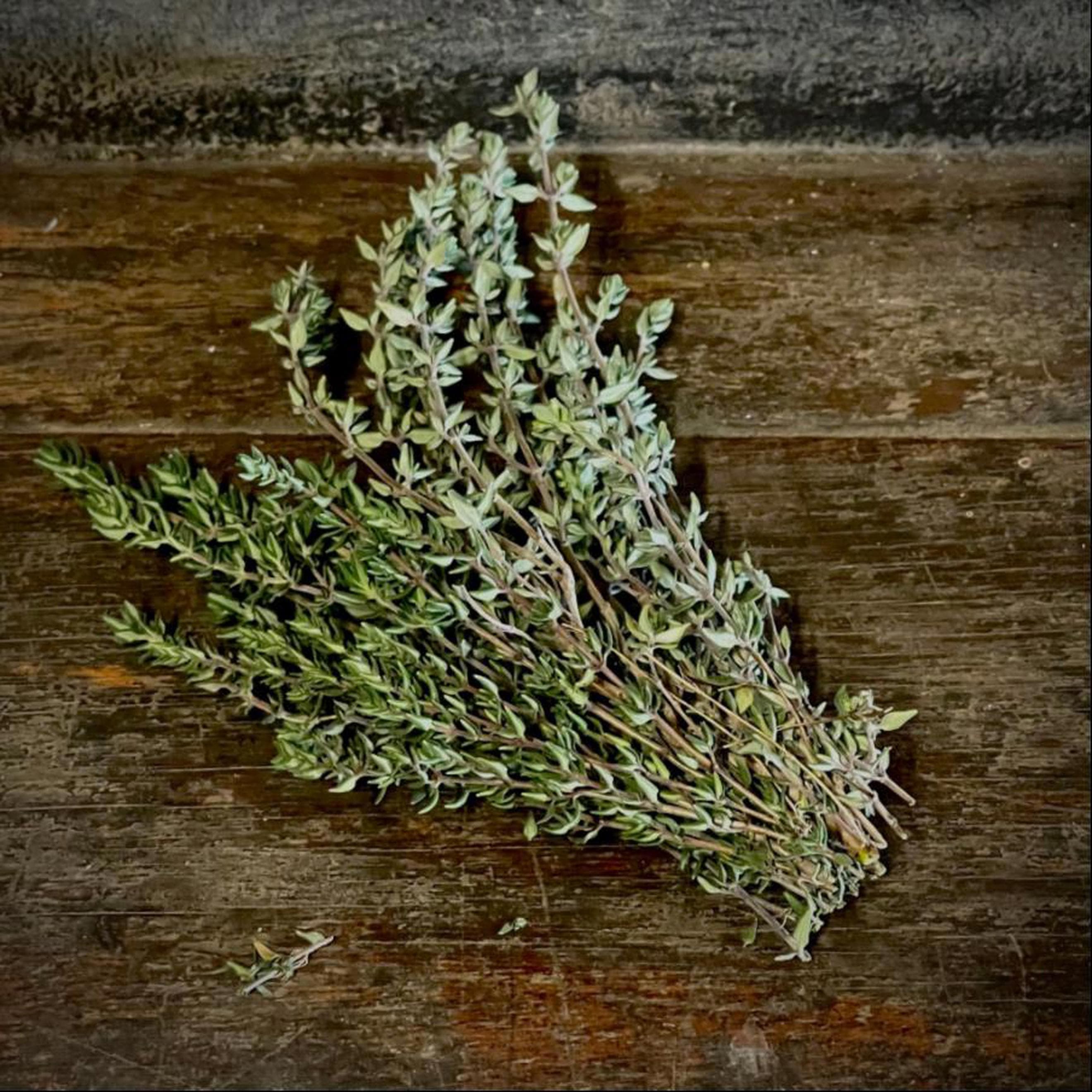 Thyme