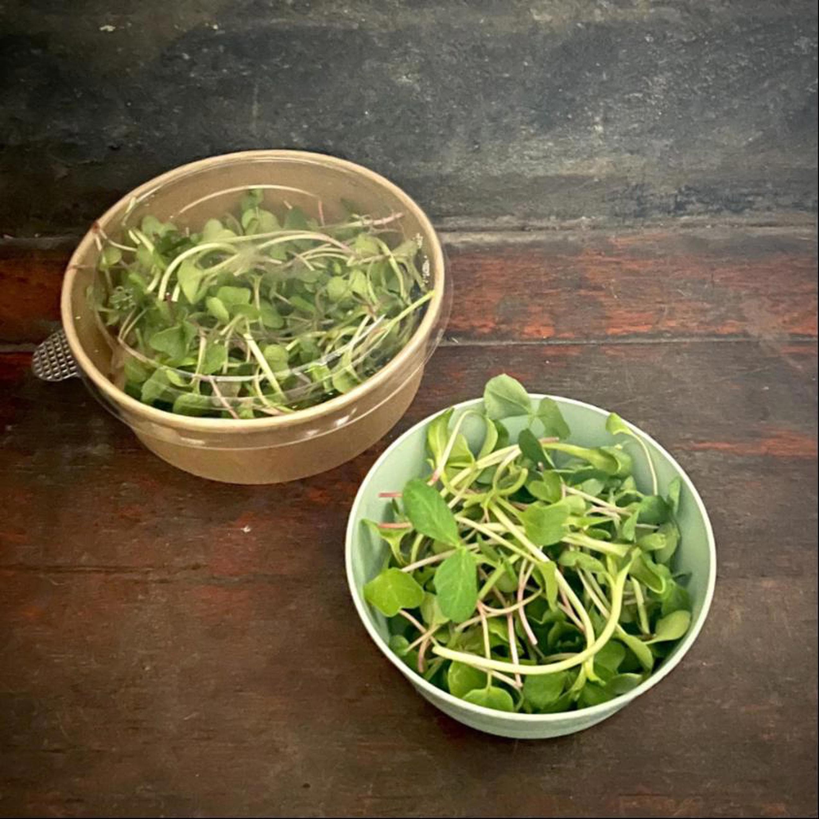 Microgreens